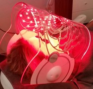 LED Mask therapie nu voor maar 19,95  